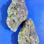 BZ(Blue diamond x Zkittlz)