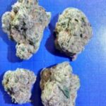 Purple Punch x Bizzle(high dep)