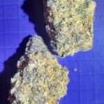 Glitter Bomb (indoor)