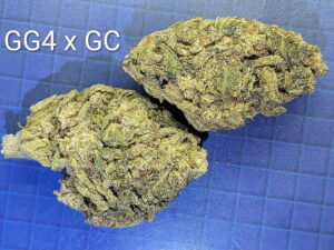 Cannabis product photo from Grasshopper Canna menu